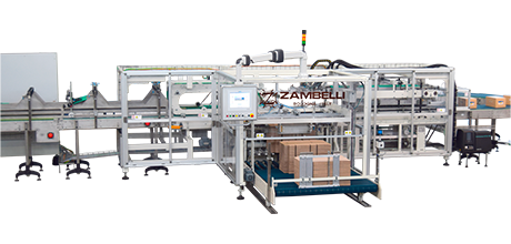 Continuous motion casepacker WR model