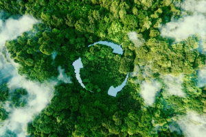 Environmental Sustainability Illustration